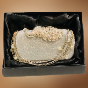 Fancy Clutch For Girls